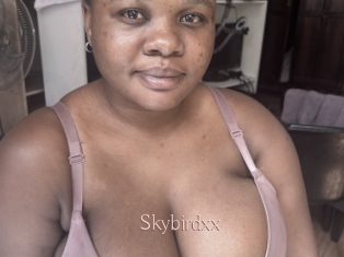 Skybirdxx