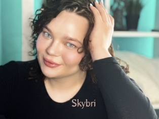 Skybri