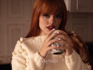 Skynabi