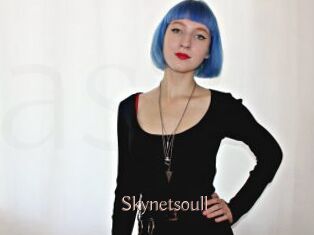 Skynetsoull