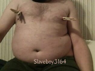 Slaveboy3164