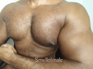 smellofmale Anal Sexe