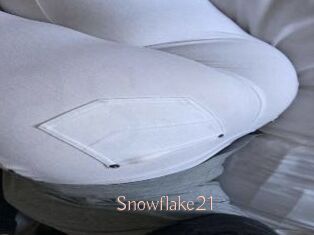Snowflake21