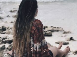 Soaringsar