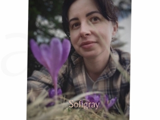 Sofi_gray