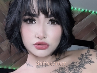 Sofiia_carterr