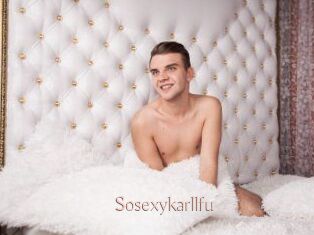 Sosexykarllfu