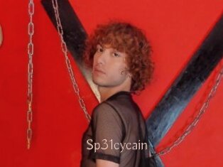 Sp31cycain