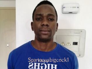Spartacusbigcock1