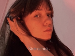 Steinschultz