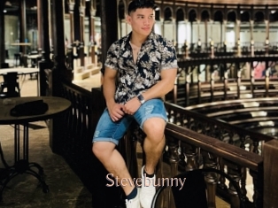 Stevebunny