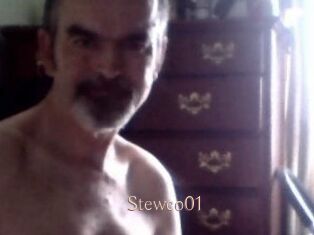 Stewco01