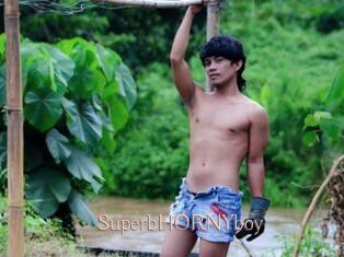 SuperbHORNYboy