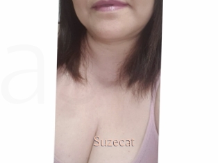 Suzecat