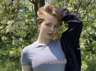 Synnebanwell