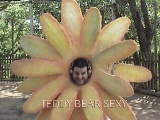 TEDDY_BEAR_SEXY