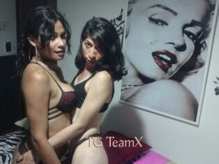 TG_TeamX