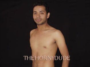THEHORNYDUDE
