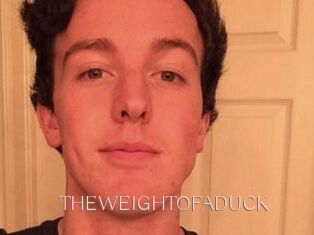THEWEIGHTOFADUCK