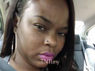 T_N_Ttiny