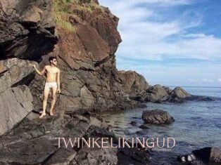 TWINKELIKINGUD