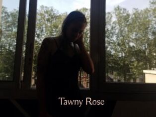 Tawny_Rose