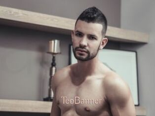 TeoBanner