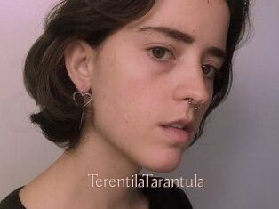 TerentilaTarantula