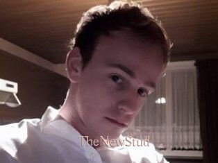 TheNewStud