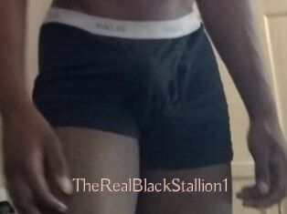 TheRealBlackStallion1