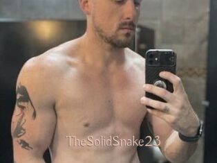 TheSolidSnake23