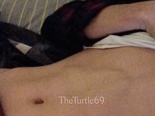 TheTurtle69