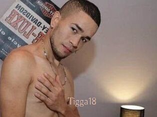 Tigga18
