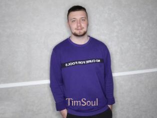 TimSoul