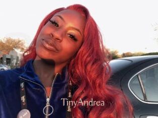 TinyAndrea