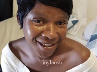 TinyToosh