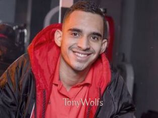 TonyWolfs