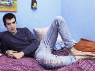 TorvinBruks