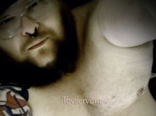 Toyservent