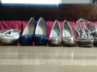 Tramecia