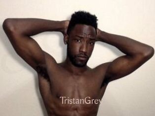 Tristan_Grey Anal Sexe