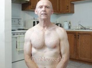 Tumbleweed13 Anal Sexe