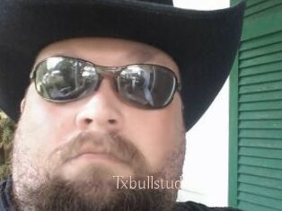 Txbullstud