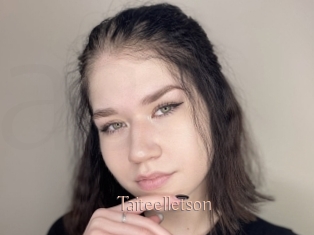 Taiteelletson