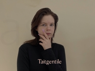 Taitgentile