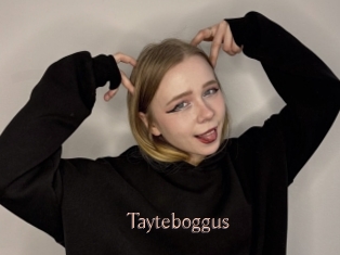 Tayteboggus