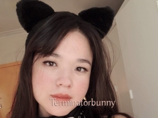 Terminatorbunny