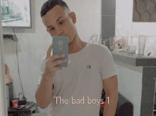 The_bad_boys_1