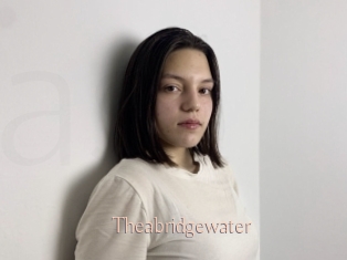 Theabridgewater