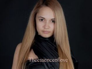 theessenceoflove Anal Sexe